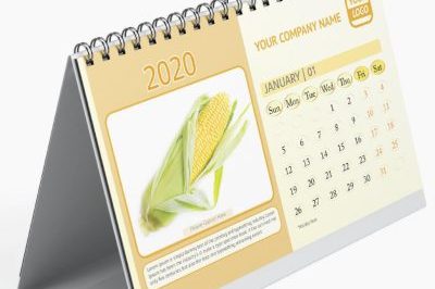 Custom printing desktop office diary calendar (5)