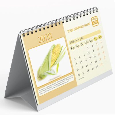Custom printing desktop office diary calendar (5)