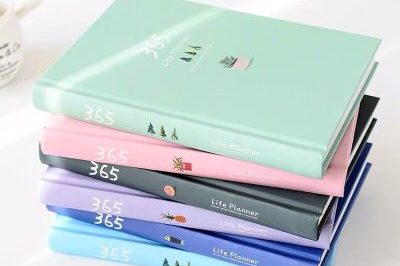 Hardcover customized journals daily diary calendar (1)