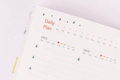 Hardcover customized journals daily diary calendar (5)