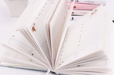 Hardcover customized journals daily diary calendar (6)