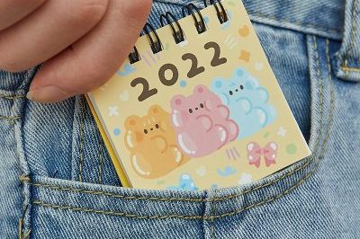 Student planning organization stationery pocket calendar (1)