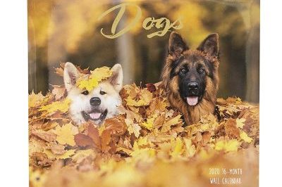 Wholesale custom posters printing calendar for home (4)